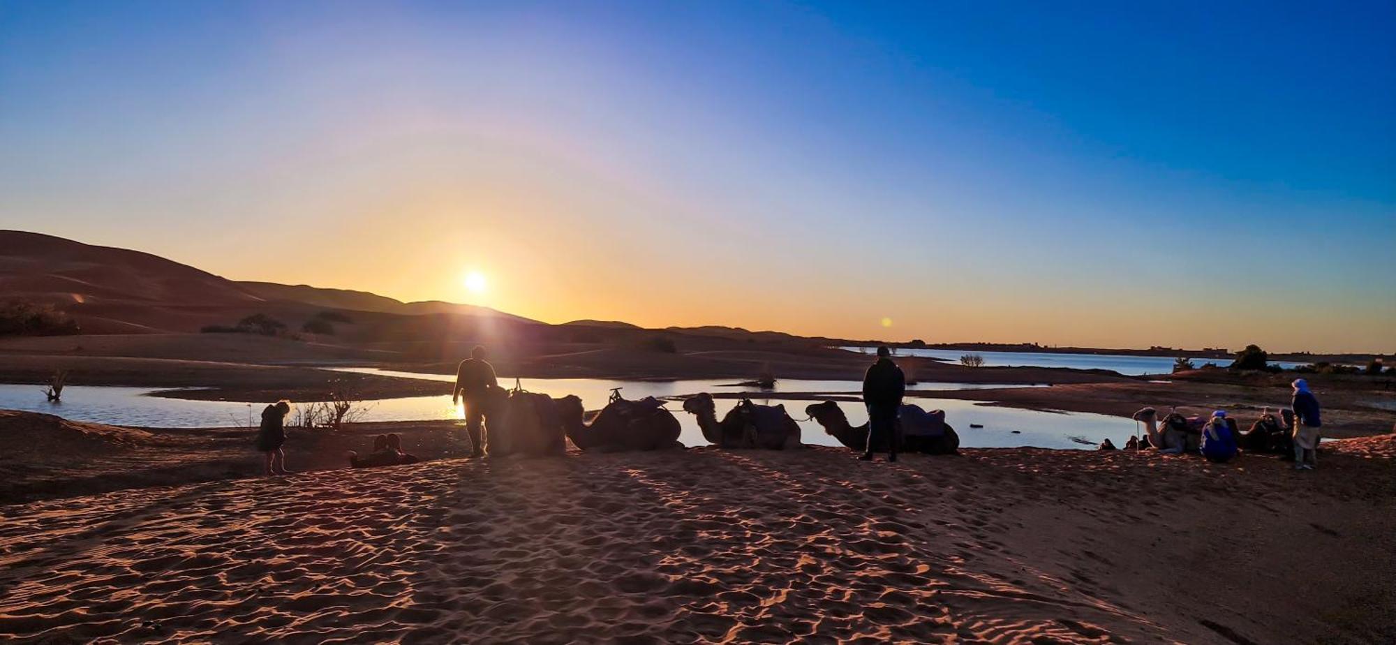 Lumière dorée sur les dunes de Merzouga